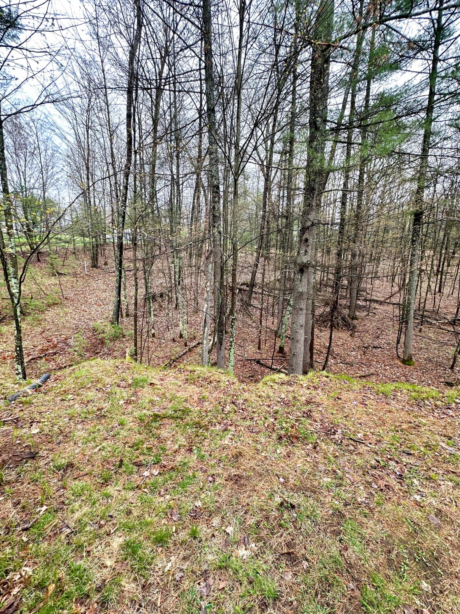 Picture 25 - McCormick Lake Property 206662