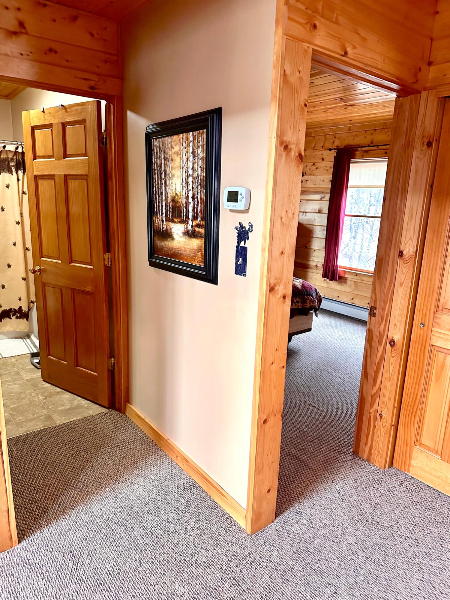 Picture 23 - McCormick Lake Property 206662