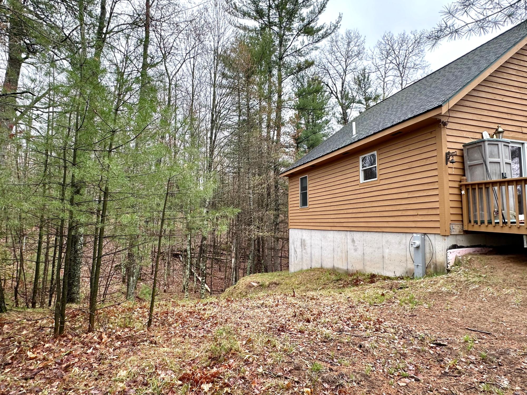 Picture 11 - McCormick Lake Property 206662