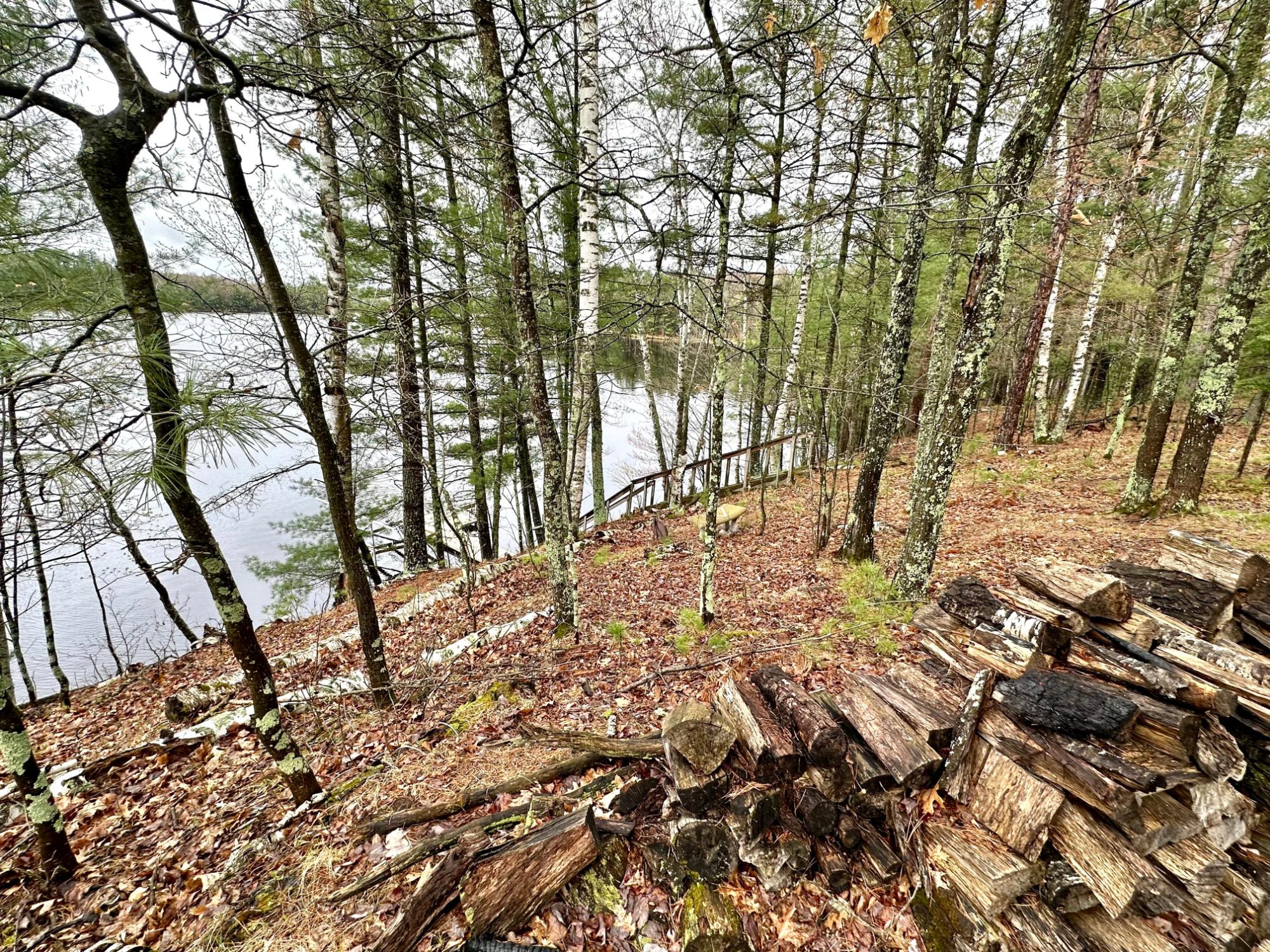 Picture 91 - McCormick Lake Property 206662