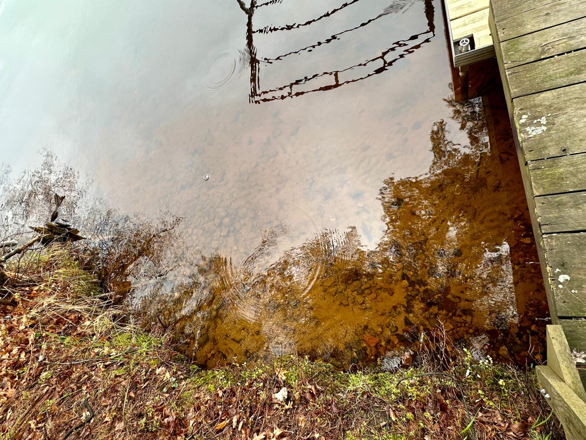 Picture 9 - McCormick Lake Property 206662