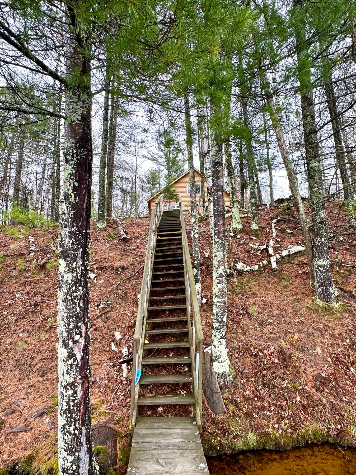 Picture 7 - McCormick Lake Property 206662