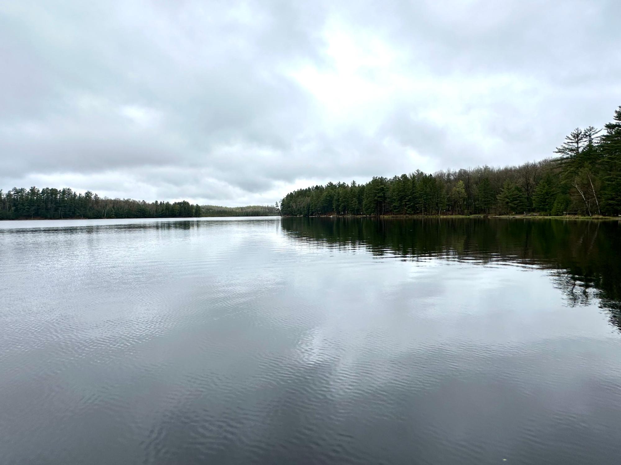 Picture 5 - McCormick Lake Property 206662