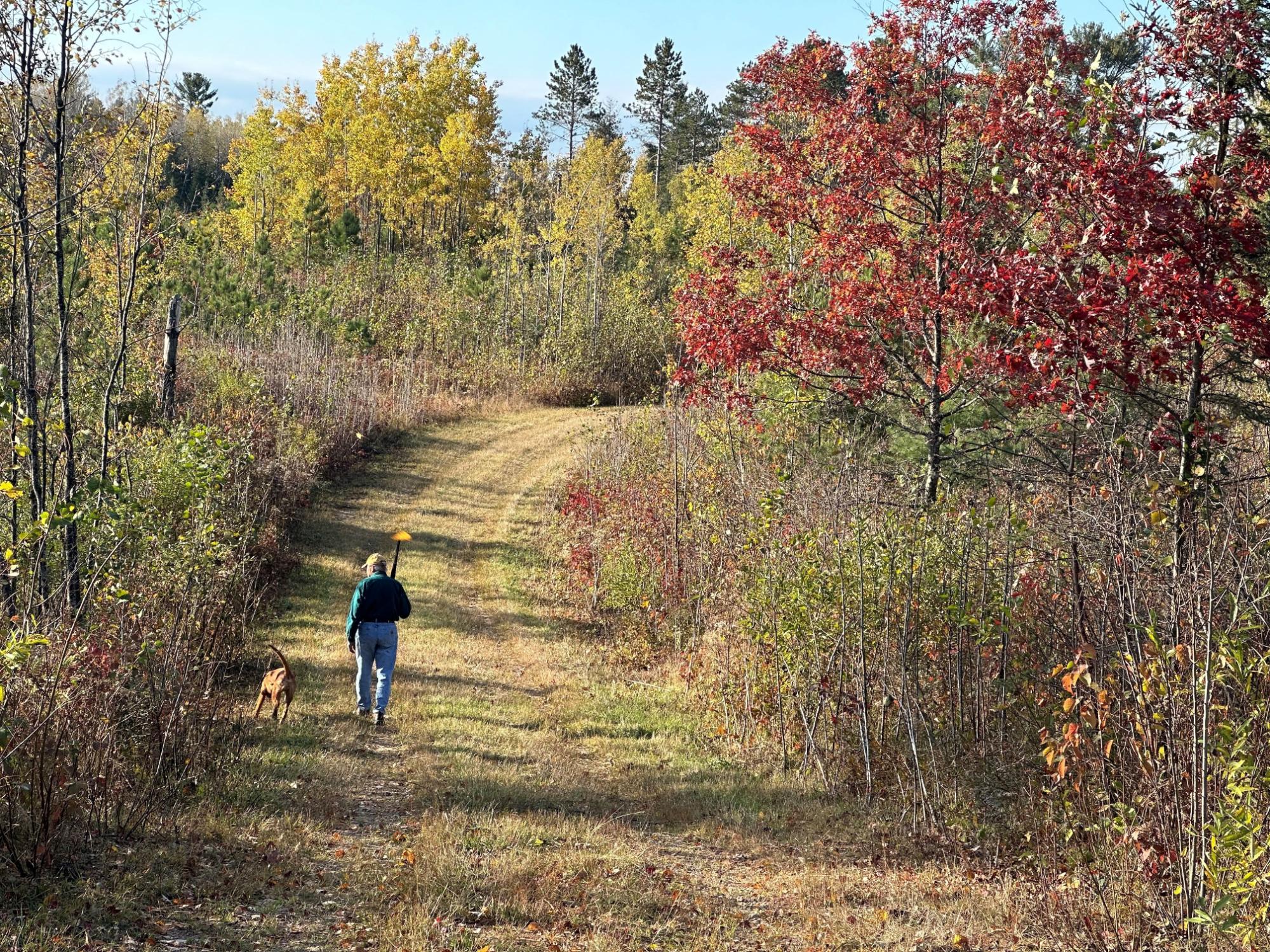 Undocumented Lake Property NEAR Rocky Run Rd Photo 12