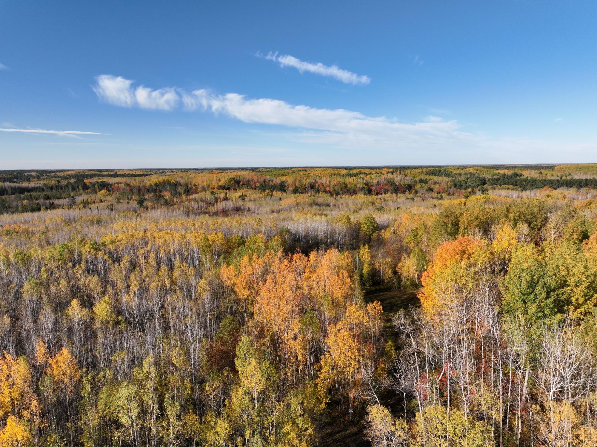 Undocumented Lake Property NEAR Rocky Run Rd Photo 13