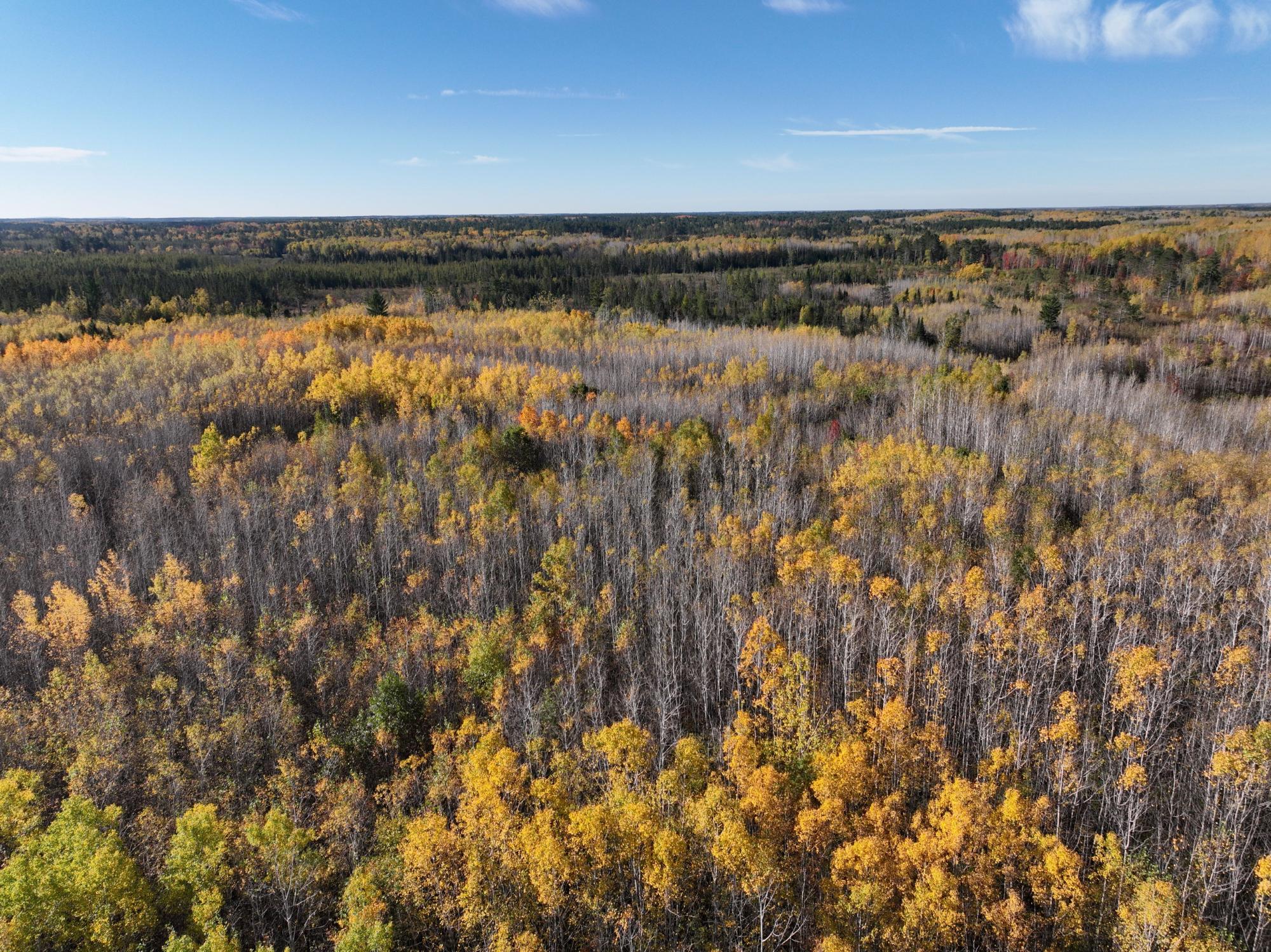 Undocumented Lake Property NEAR Rocky Run Rd Photo 2