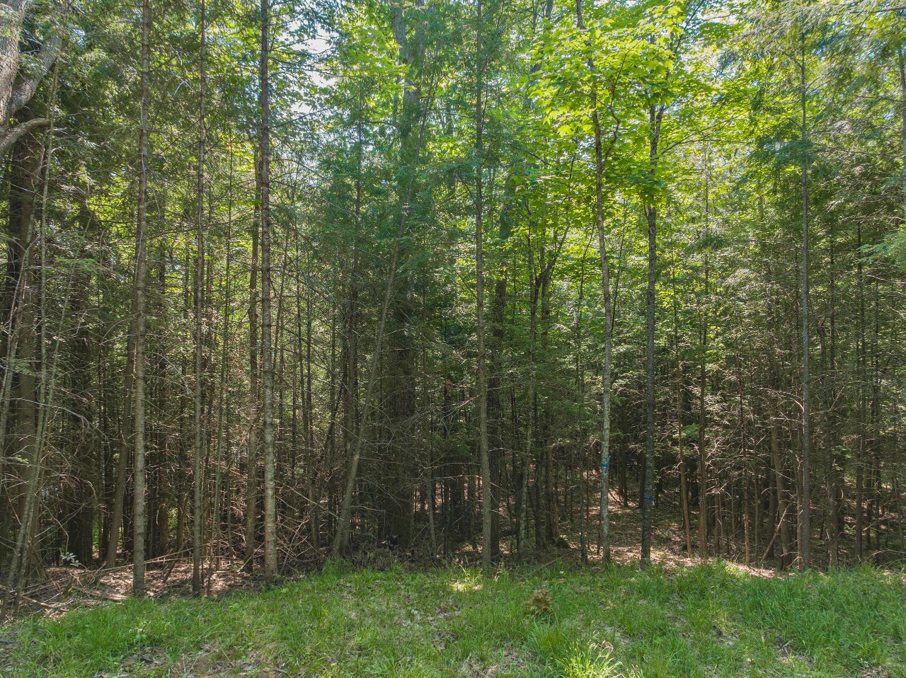 Picture 4 - Rock Lake Property 206975