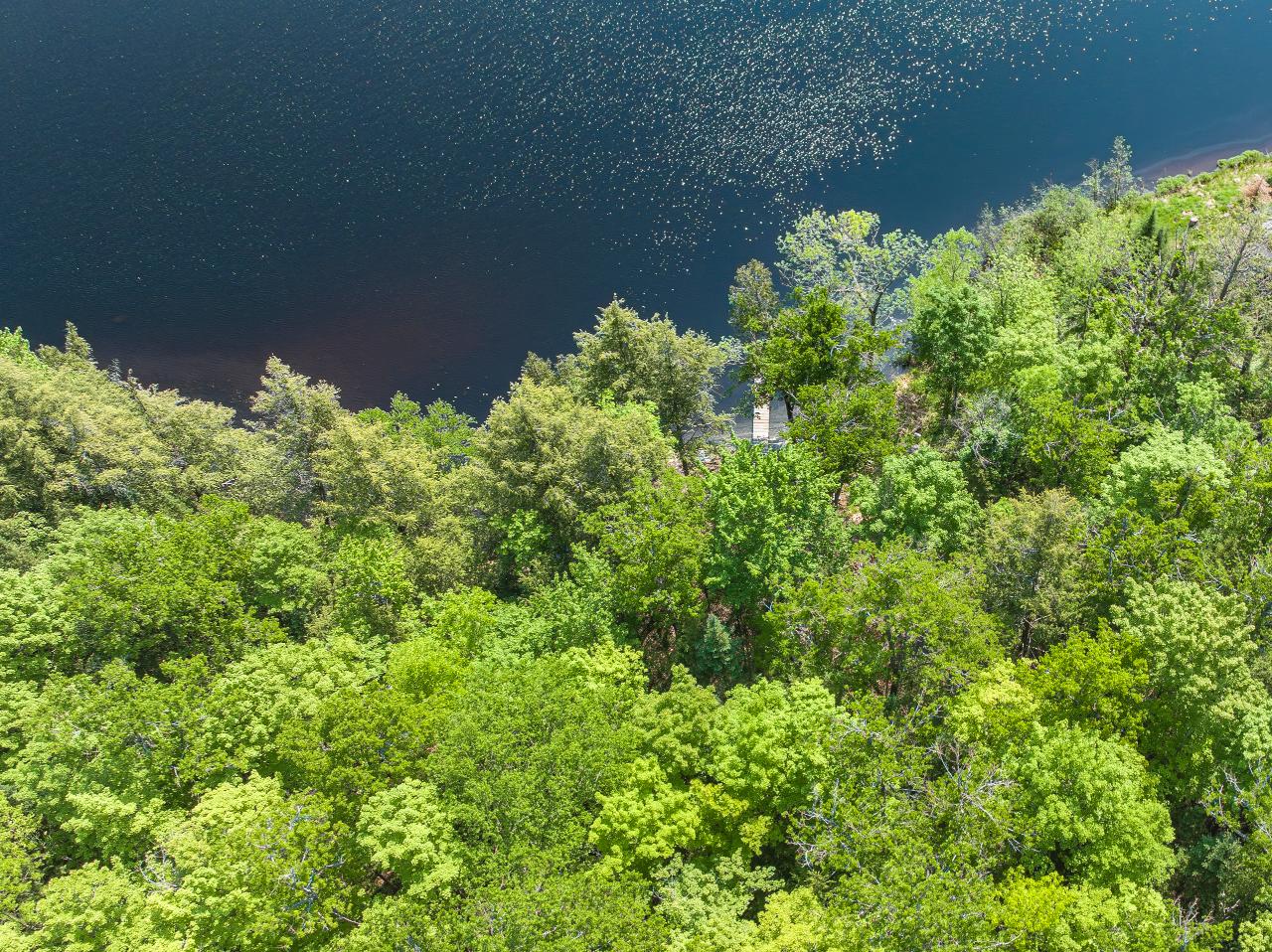 Picture 7 - Rock Lake Property 206975