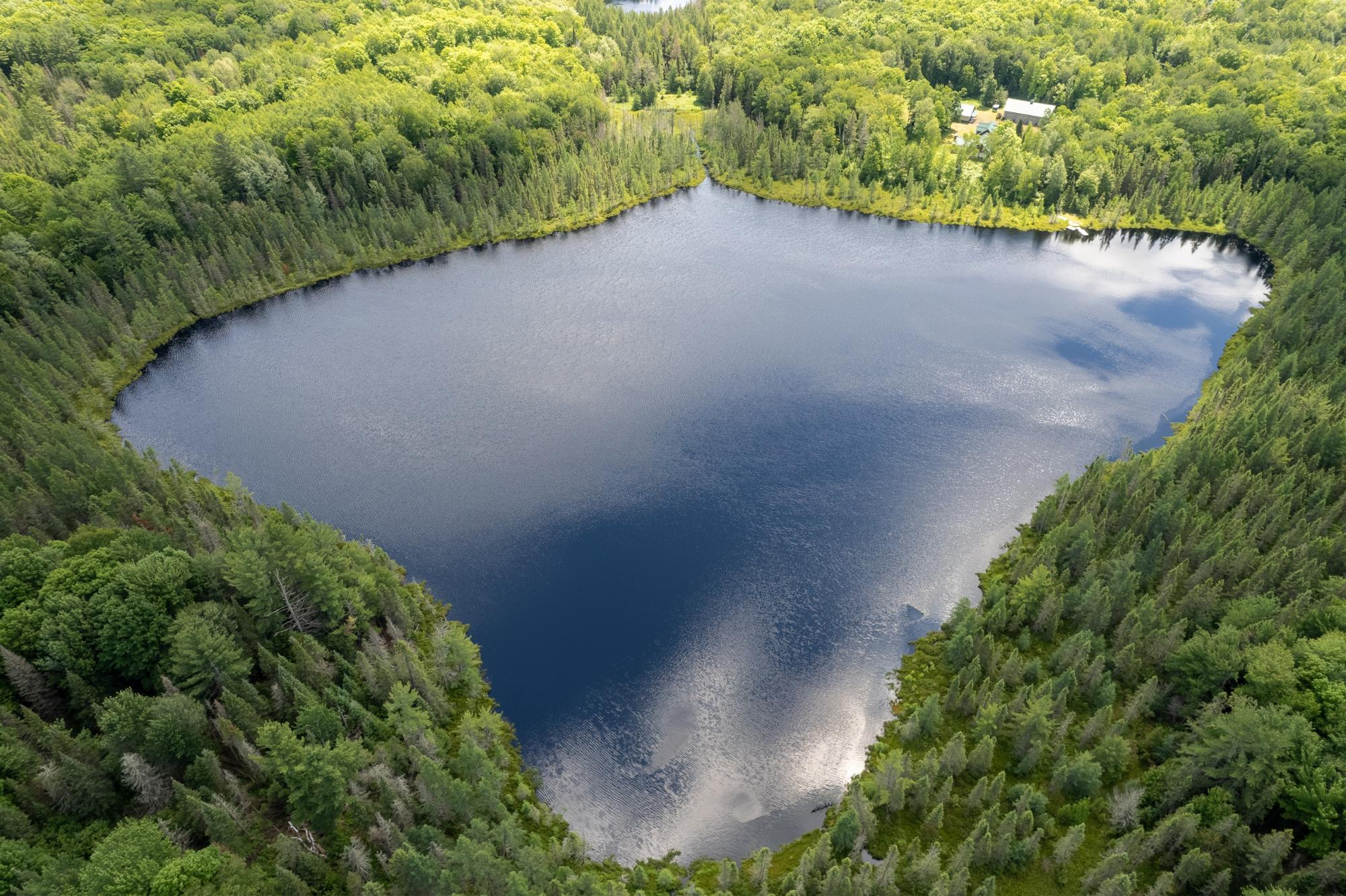 Undocumented Lake Property 7748 Lone Pine Dr Photo 1