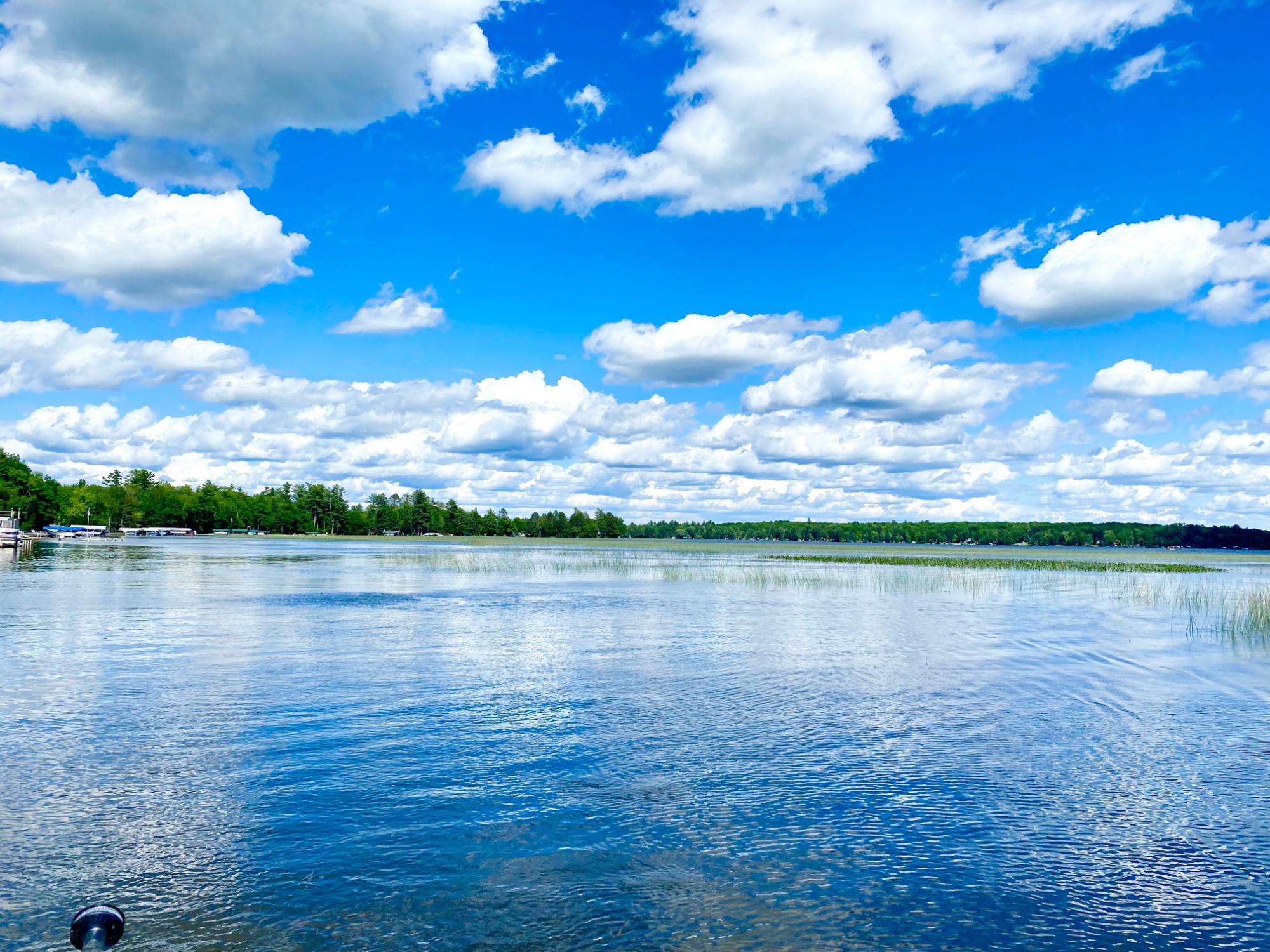 Picture 31 - Pelican Lake Property 207406