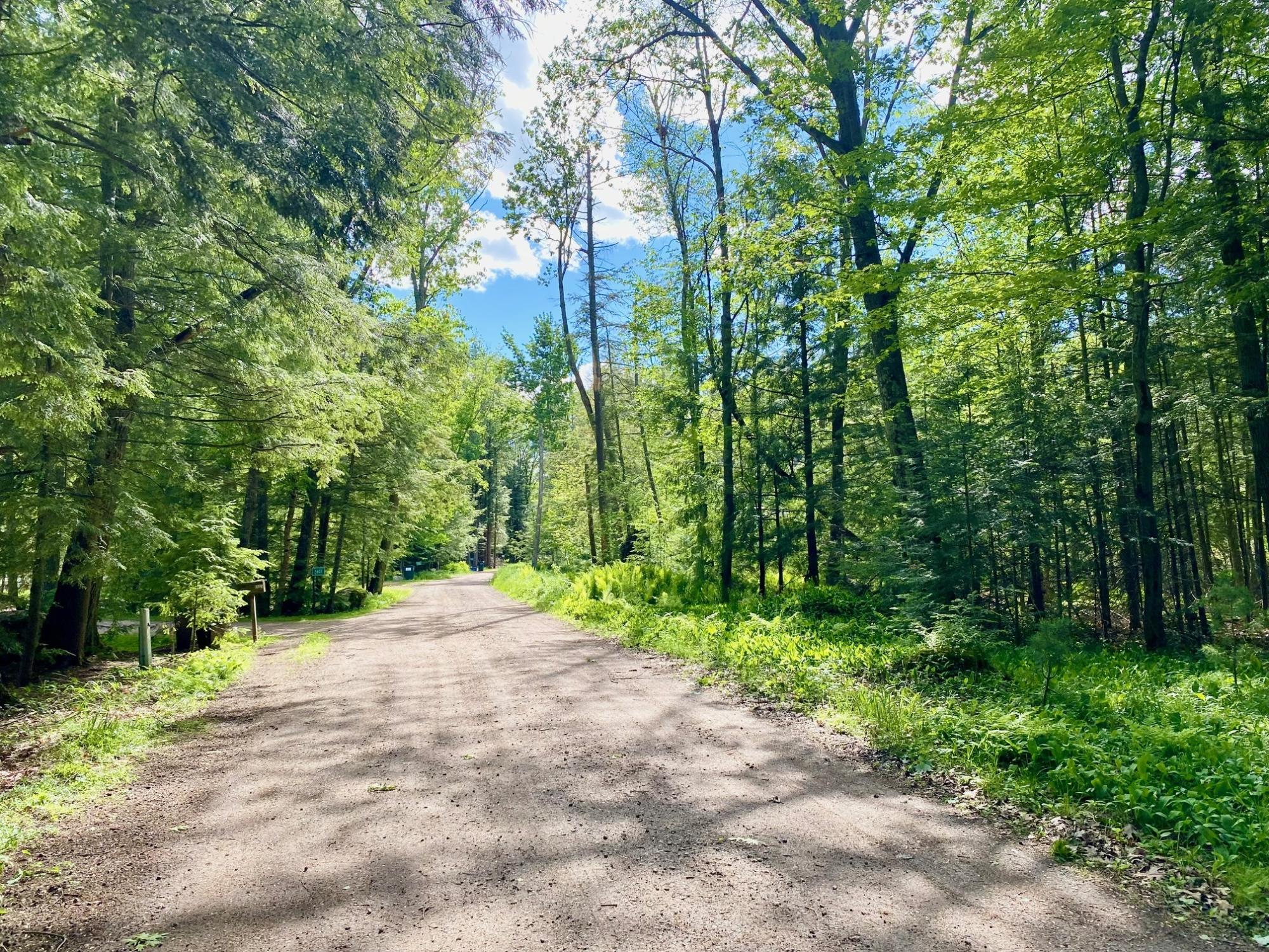 Picture 22 - Pelican Lake Property 207406