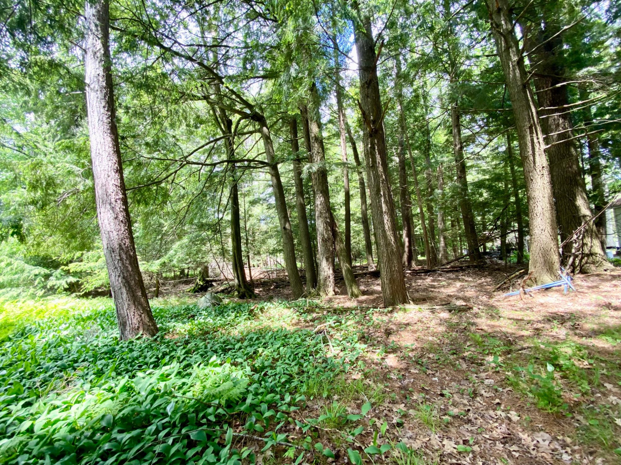 Picture 21 - Pelican Lake Property 207406