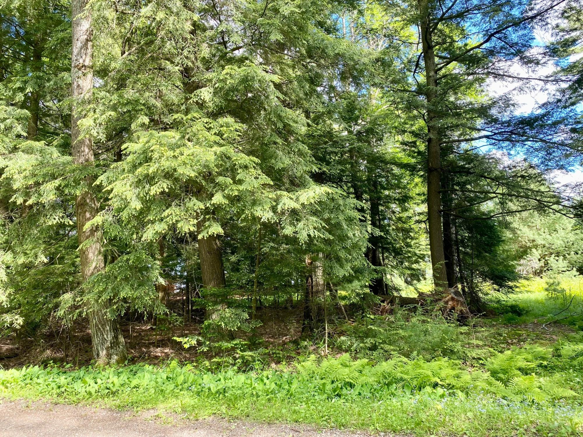 Picture 19 - Pelican Lake Property 207406