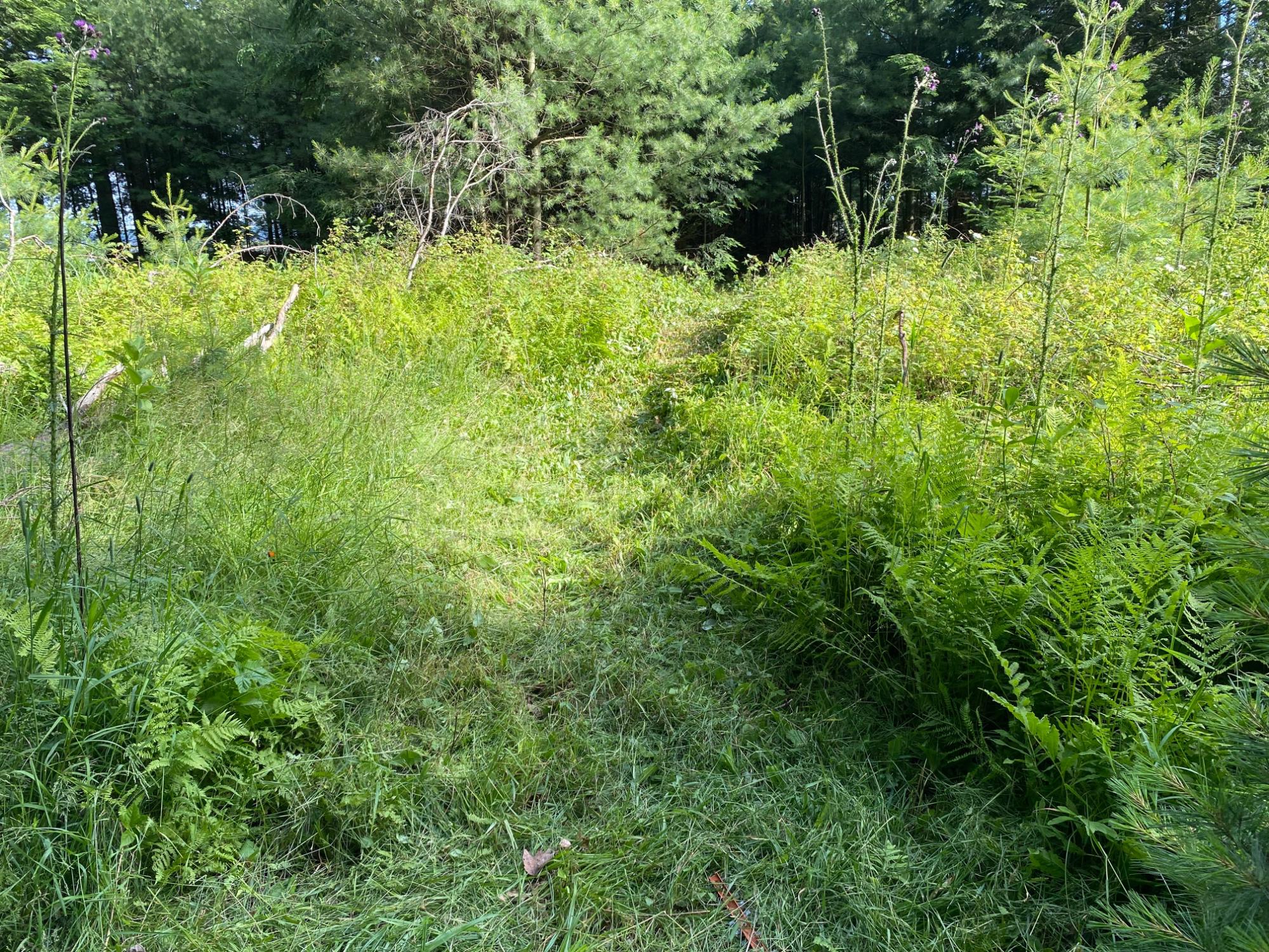 Picture 17 - Pelican Lake Property 207406