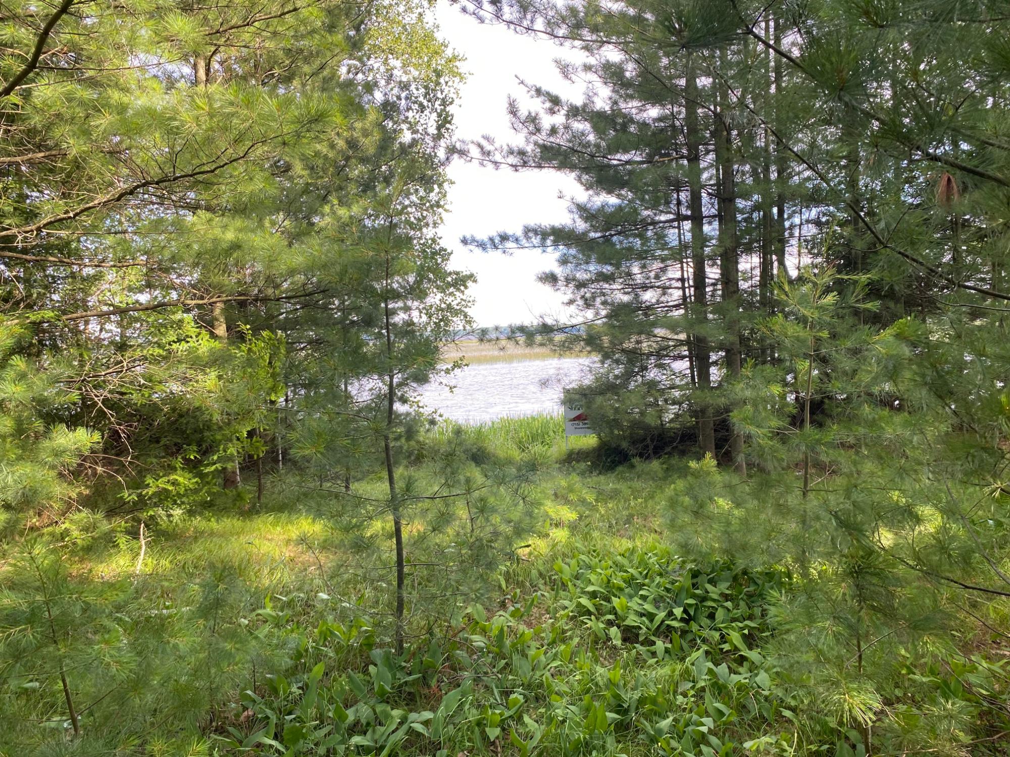 Picture 14 - Pelican Lake Property 207406