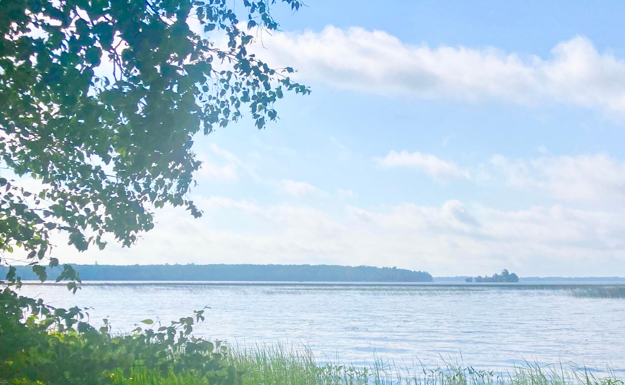 Picture 13 - Pelican Lake Property 207406