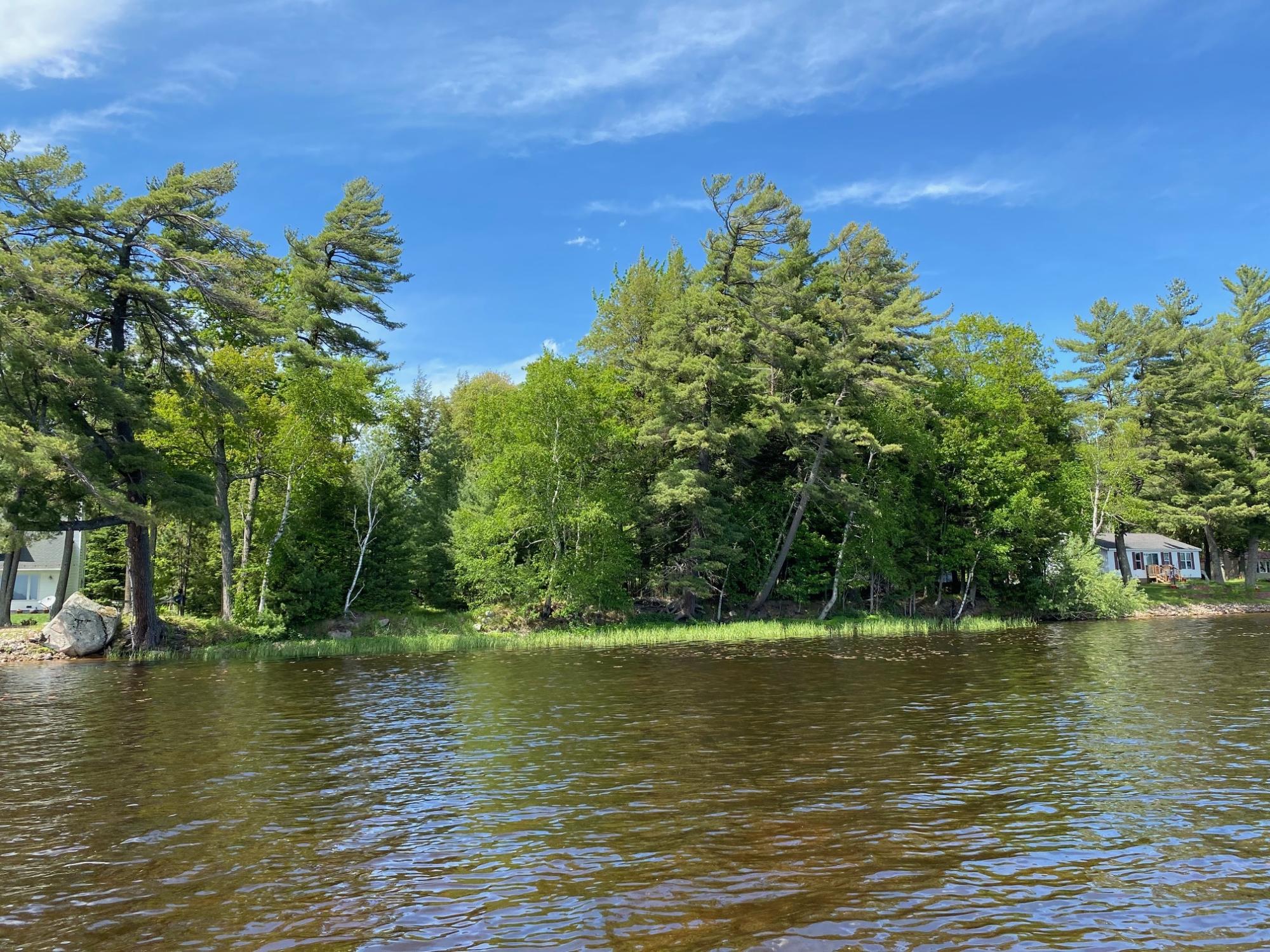 Picture 12 - Pelican Lake Property 207406