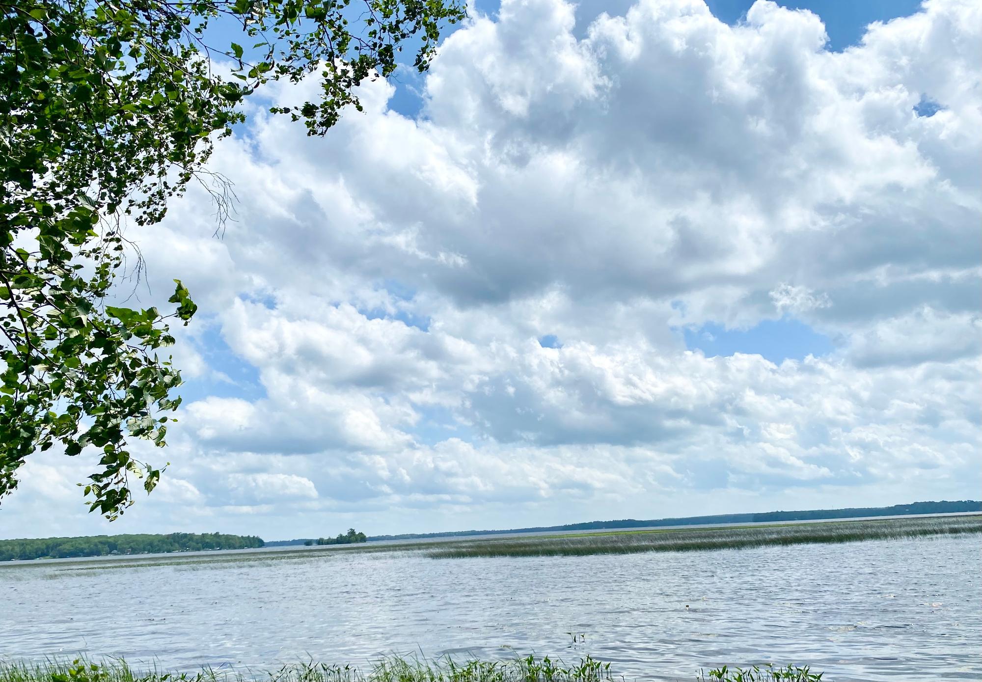 Picture 11 - Pelican Lake Property 207406