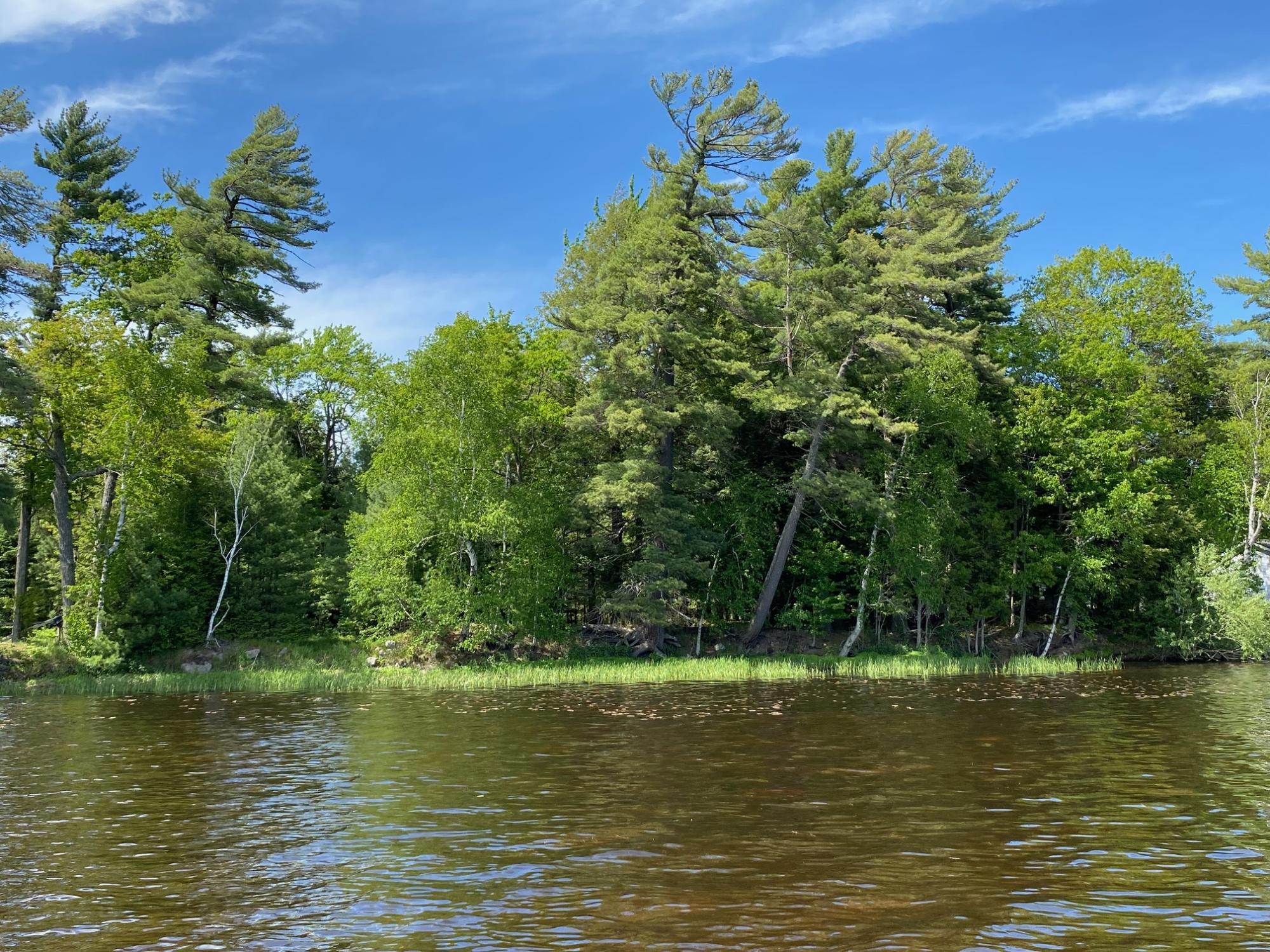 Picture 10 - Pelican Lake Property 207406