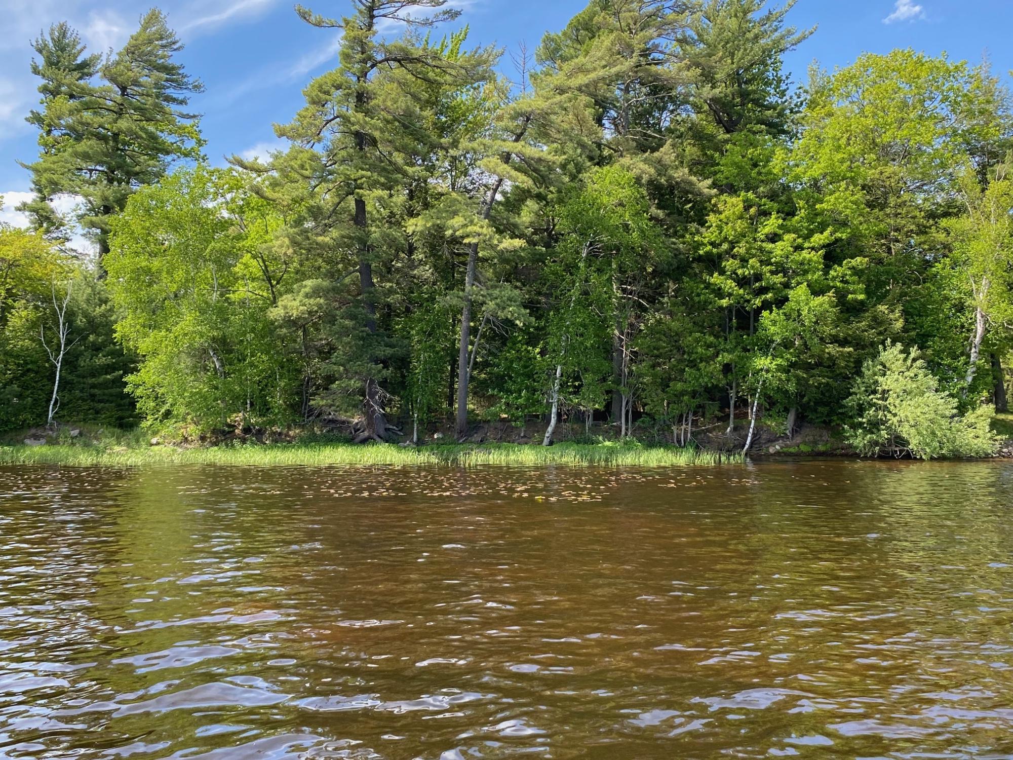 Picture 8 - Pelican Lake Property 207406