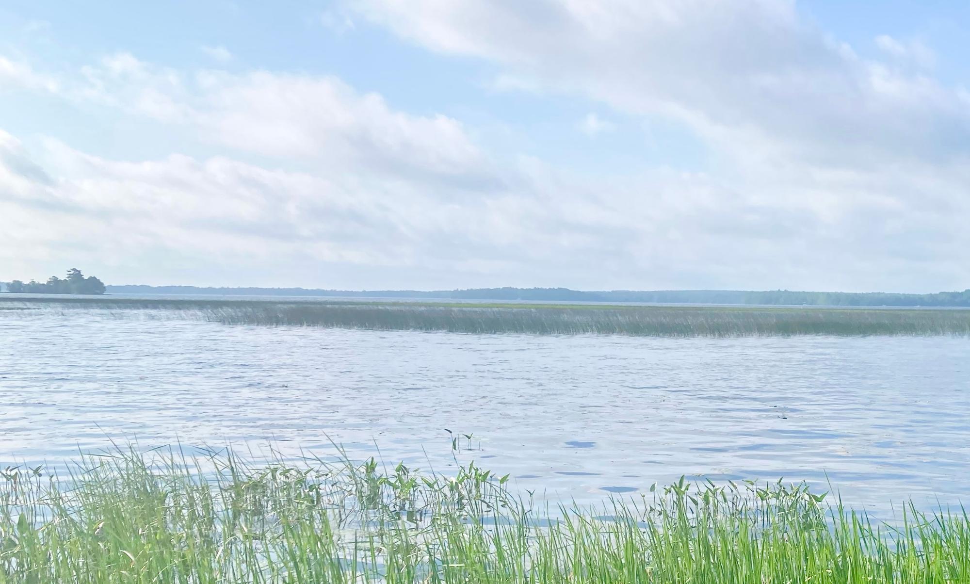 Picture 6 - Pelican Lake Property 207406