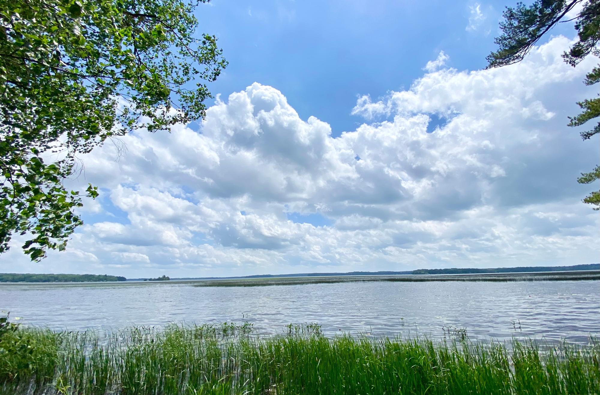 Picture 5 - Pelican Lake Property 207406