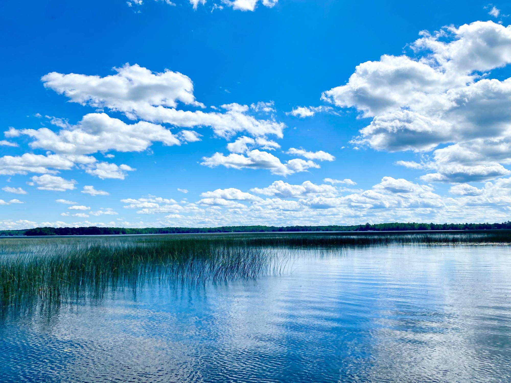 Picture 4 - Pelican Lake Property 207406