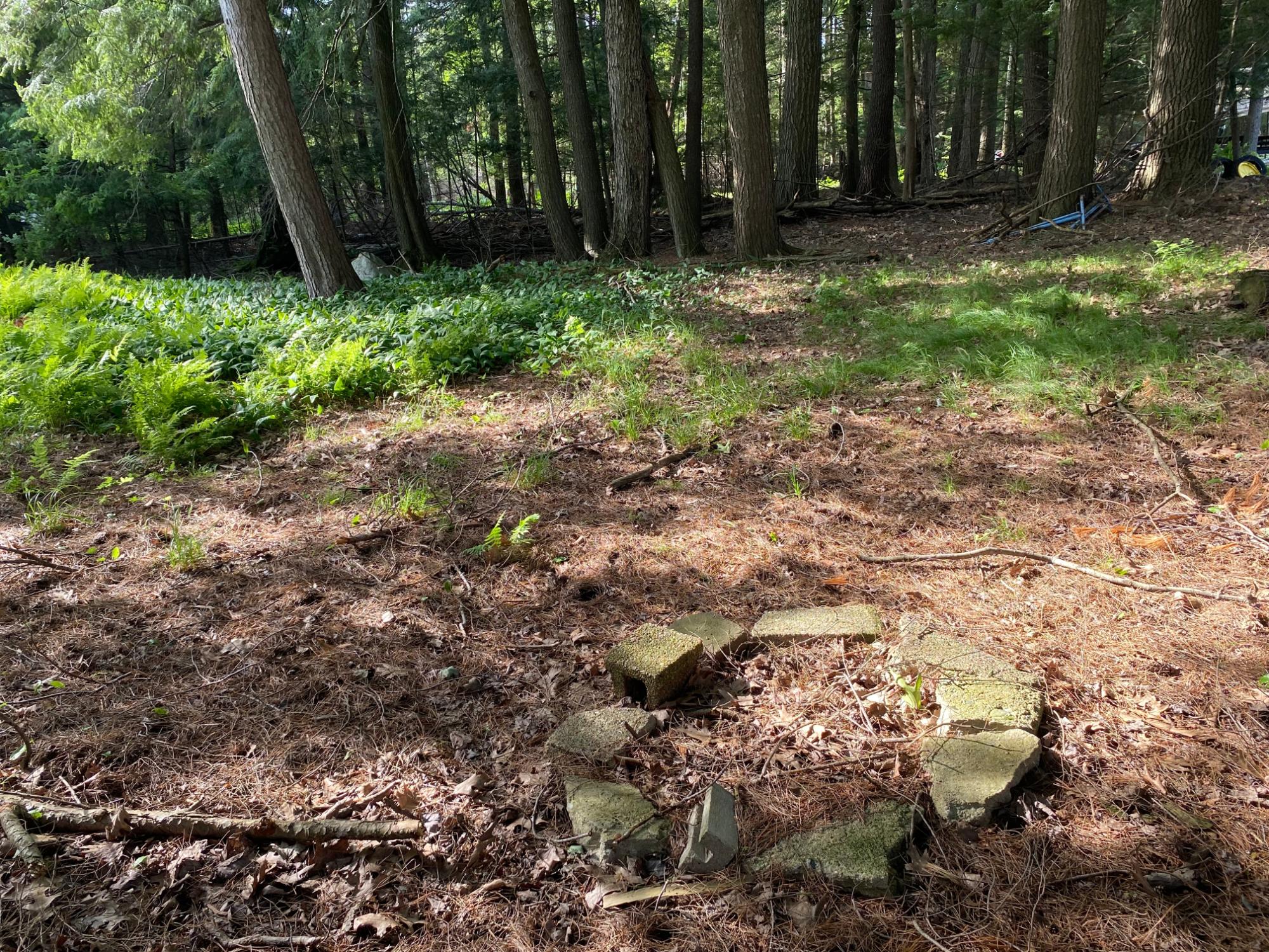 Picture 2 - Pelican Lake Property 207406