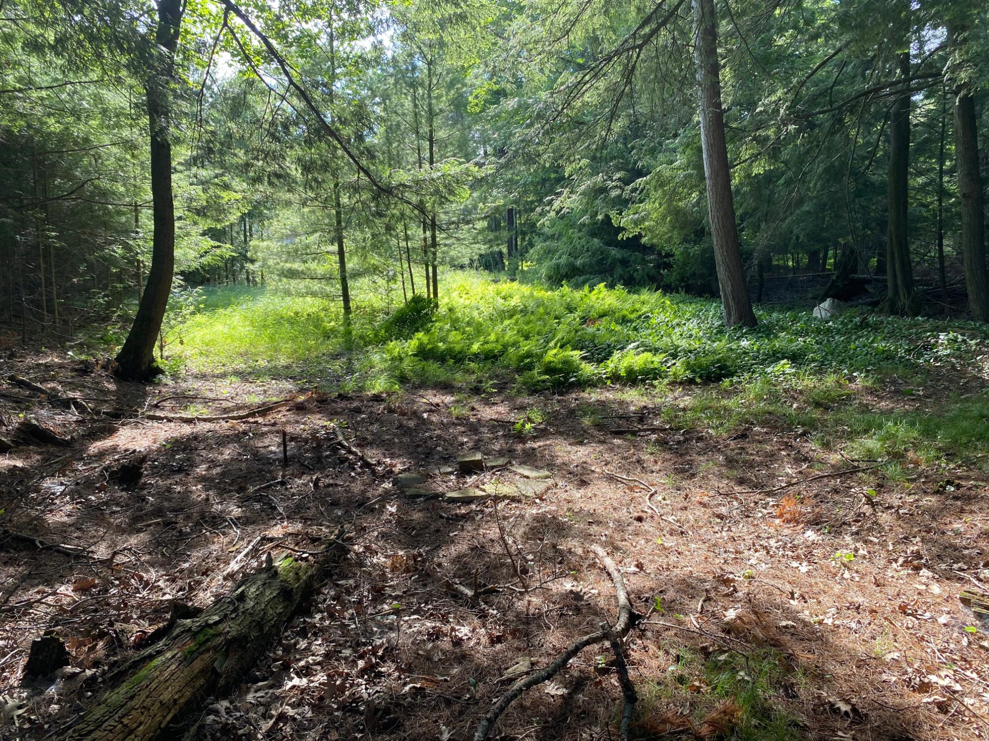 Picture 1 - Pelican Lake Property 207406