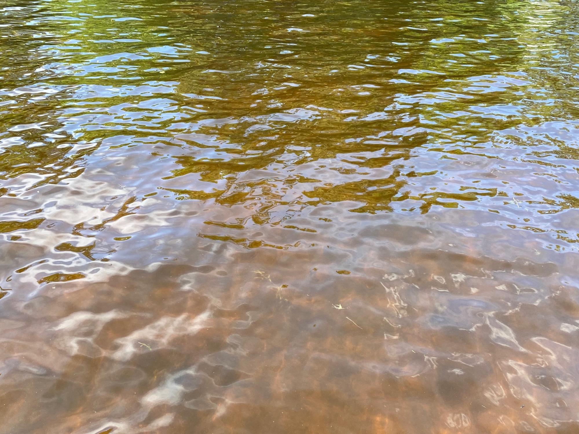 Picture 28 - Pelican Lake Property 207406