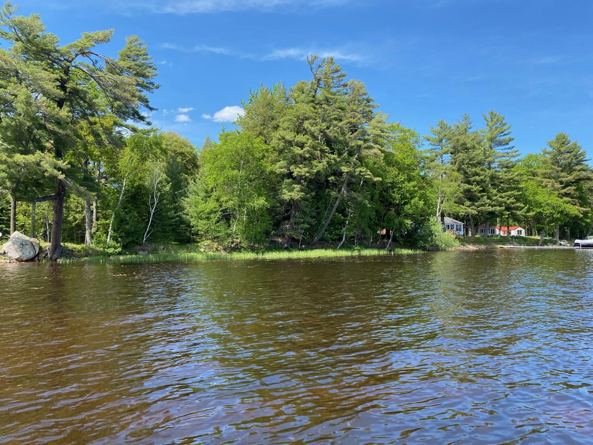 Picture 27 - Pelican Lake Property 207406