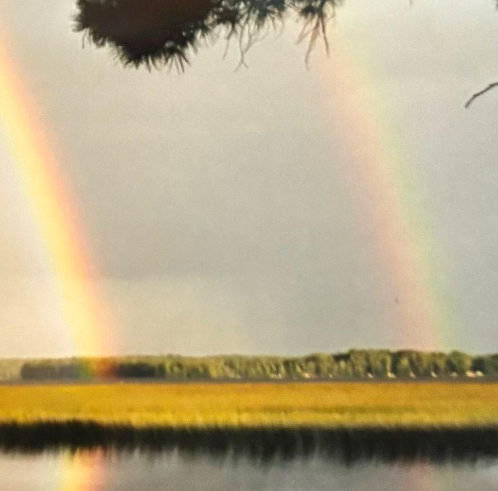 Picture 26 - Pelican Lake Property 207406