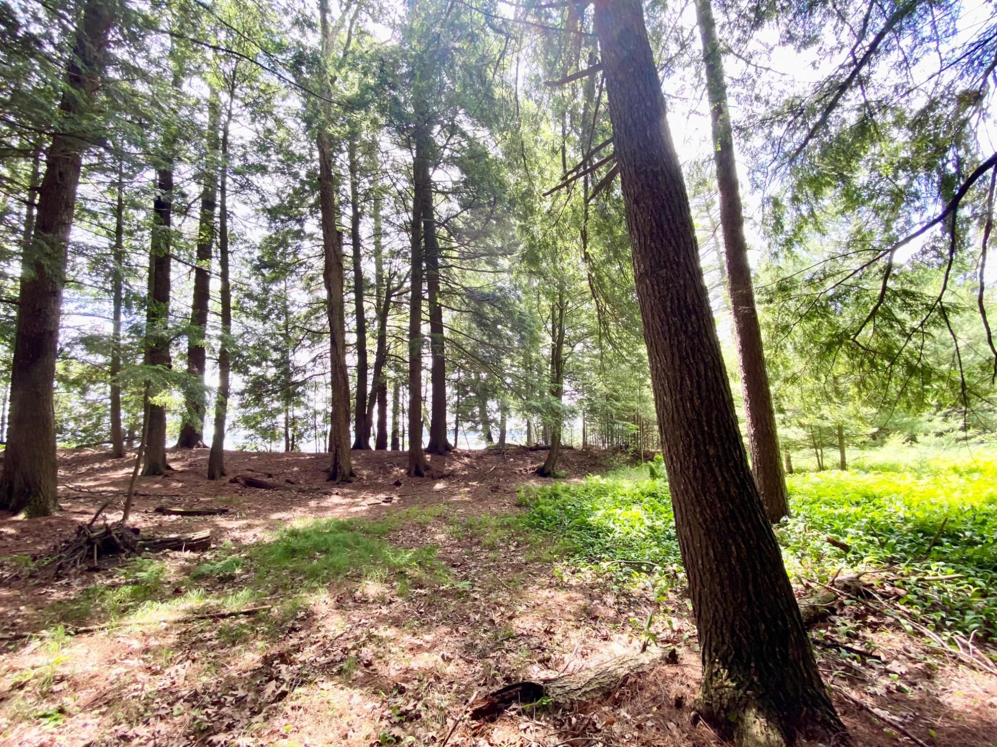 Picture 25 - Pelican Lake Property 207406