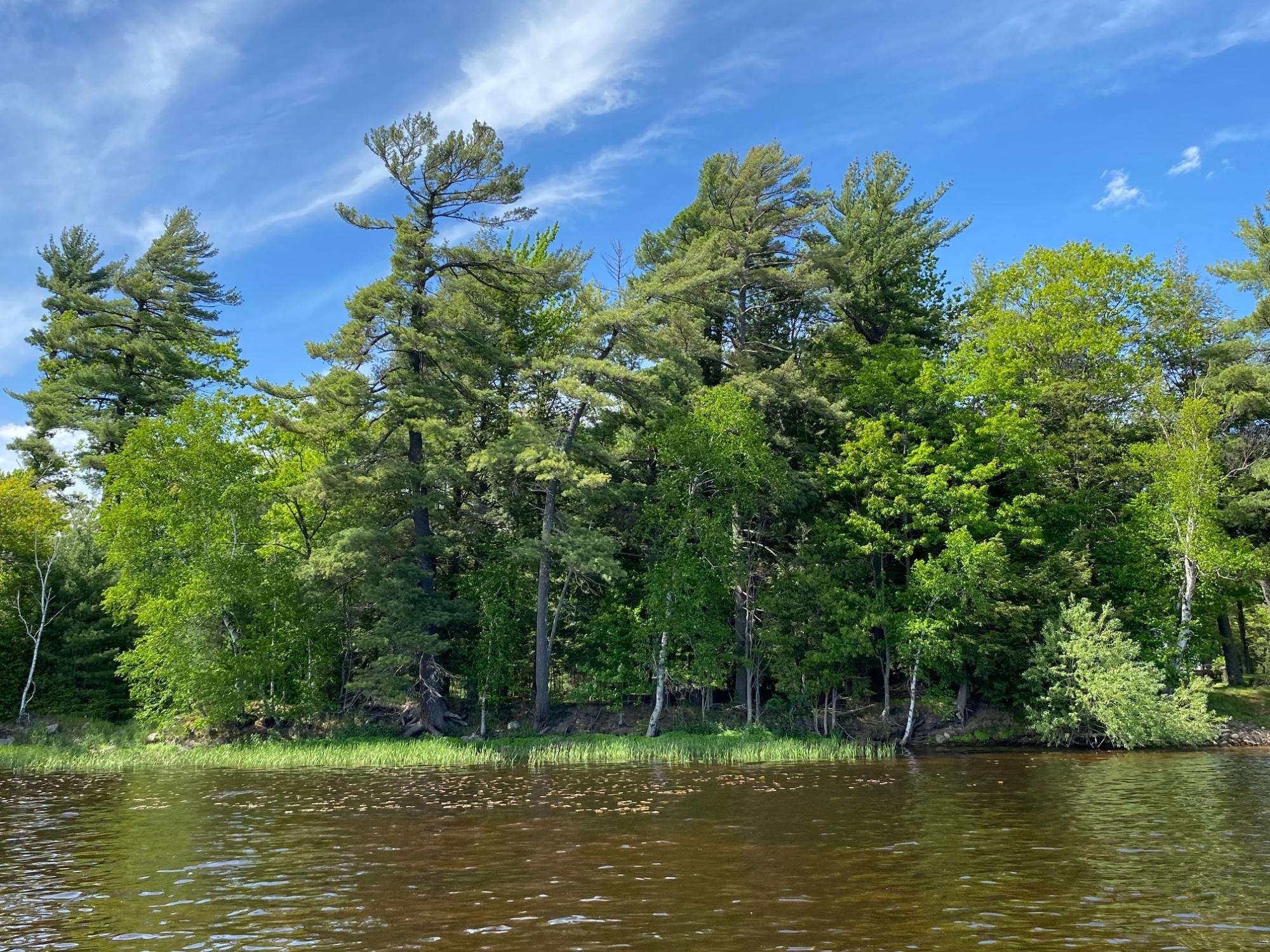 Picture 24 - Pelican Lake Property 207406