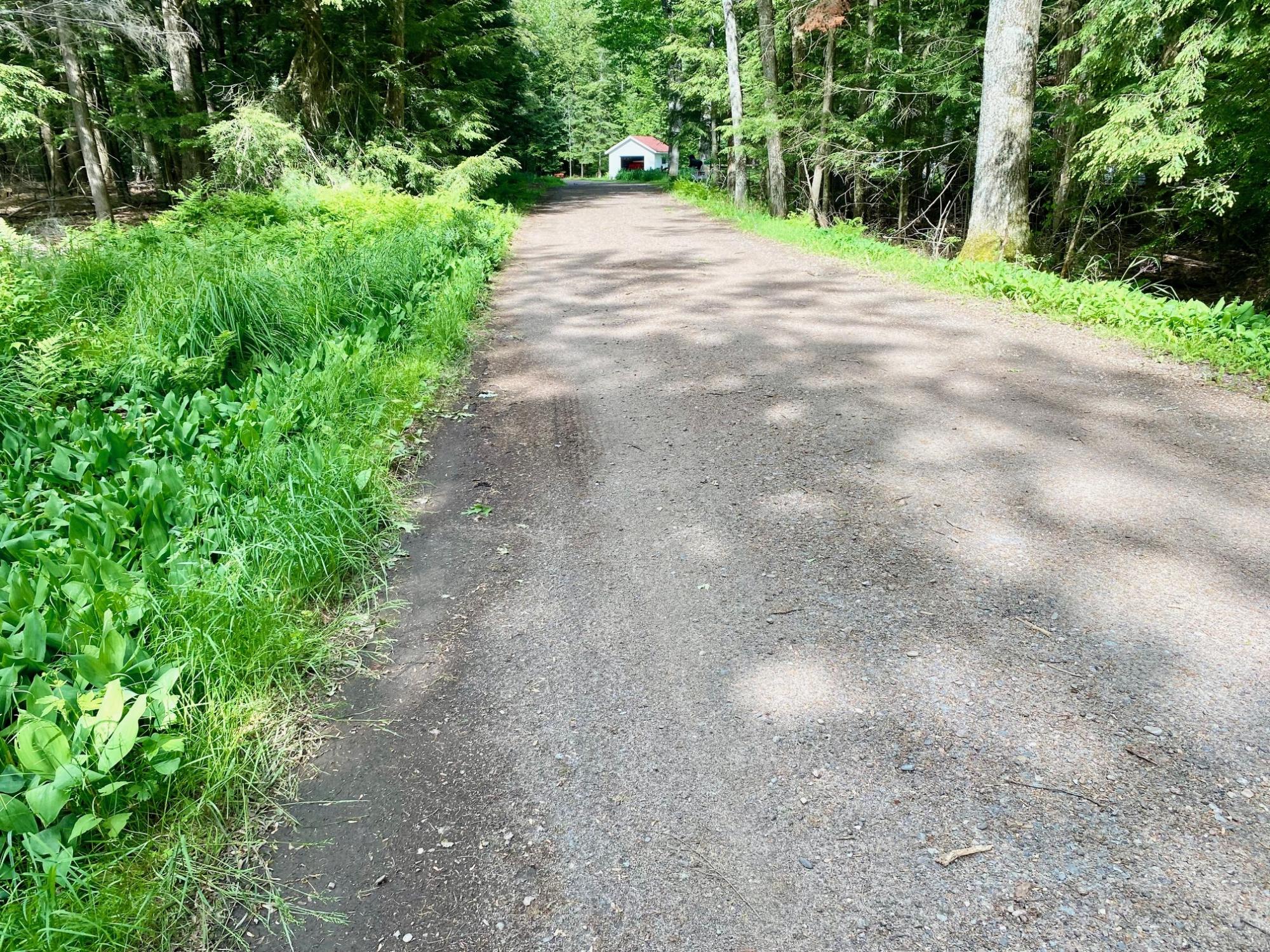 Picture 23 - Pelican Lake Property 207406