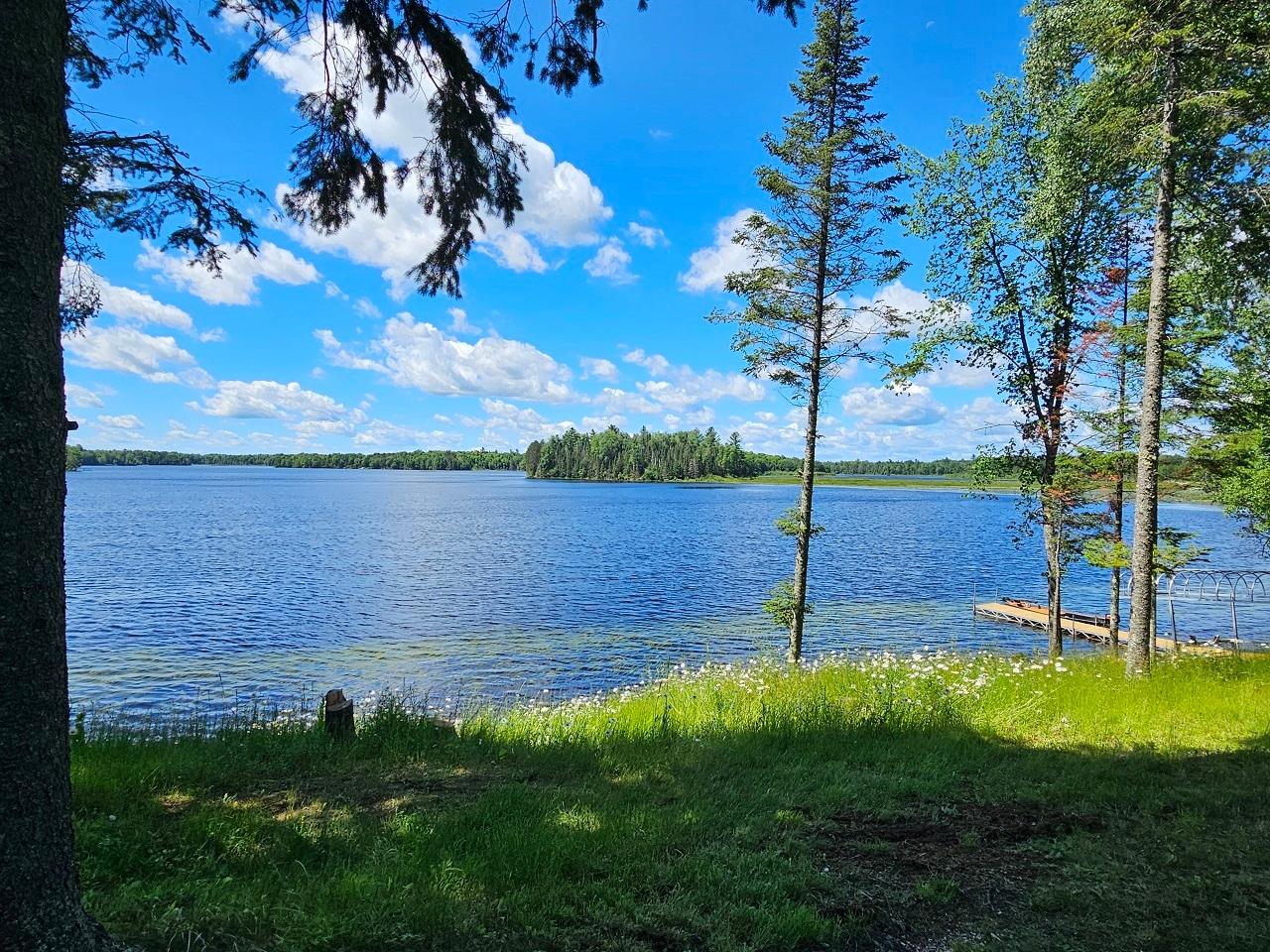 Picture 22 - Fisher Lake Property 207776