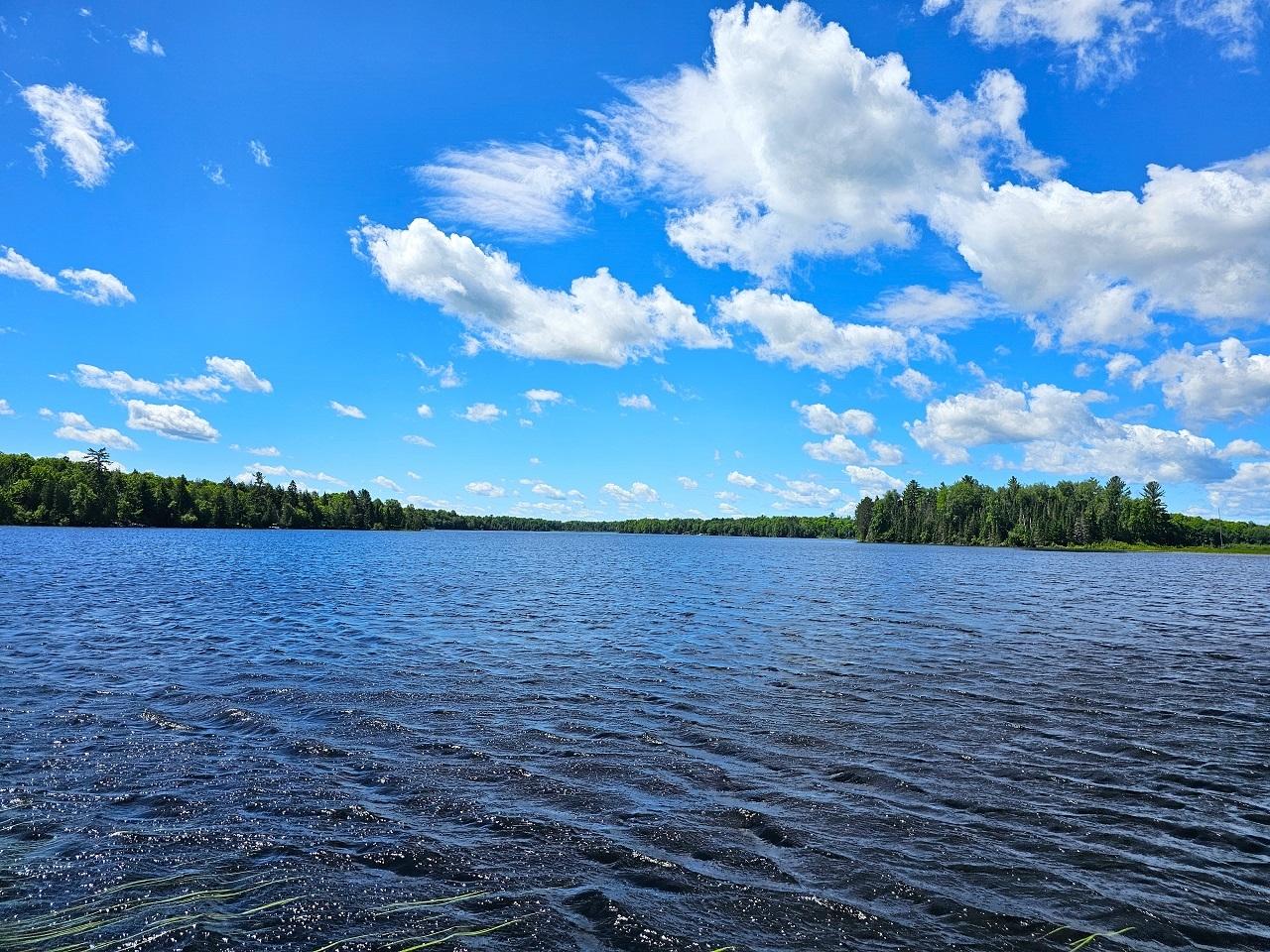 Picture 18 - Fisher Lake Property 207776