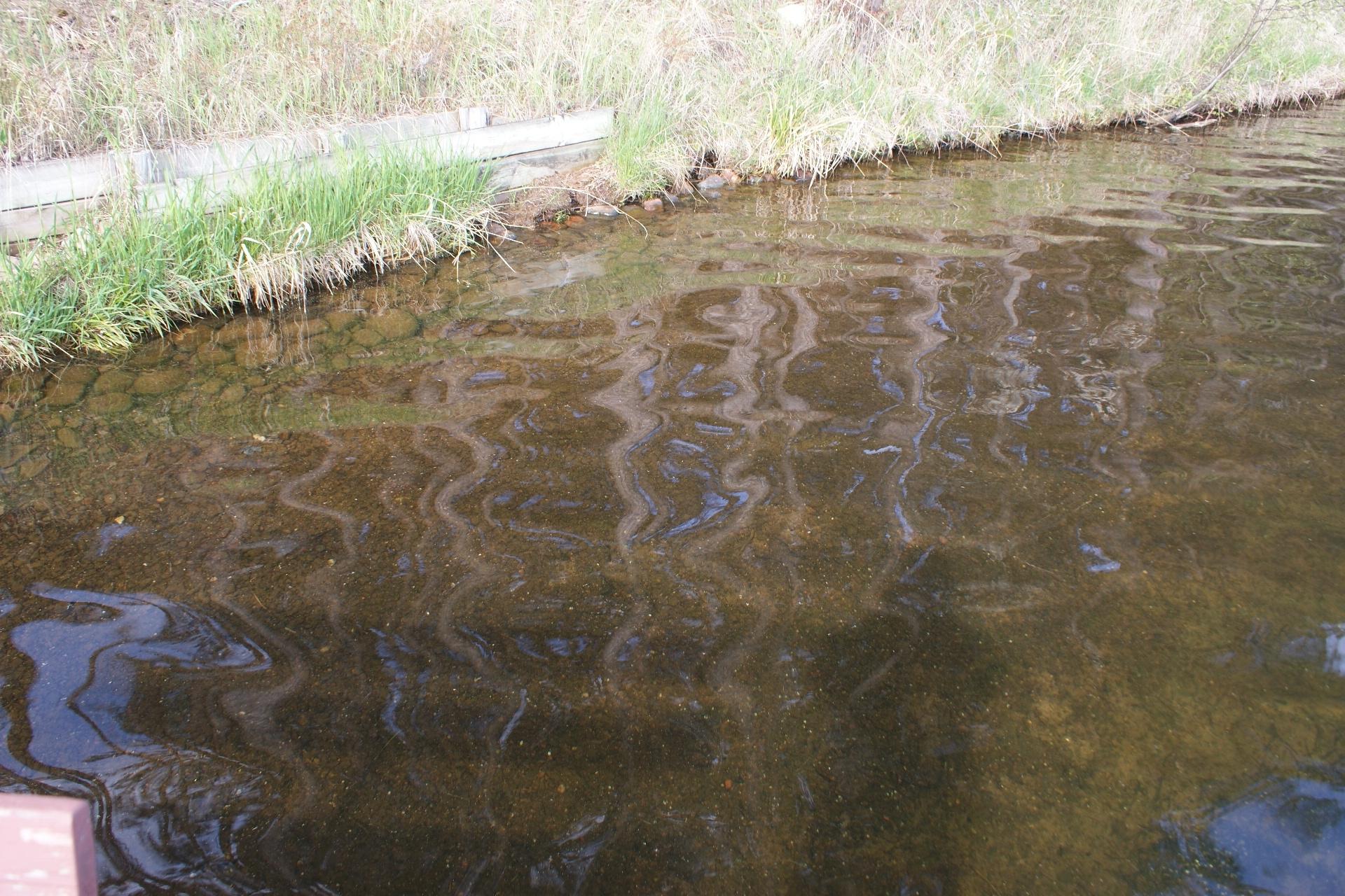 Picture 9 - Fishtrap Lake Property 208266