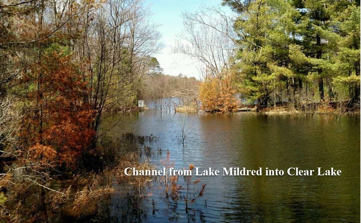 Picture 10 - Lake Mildred Property 208341