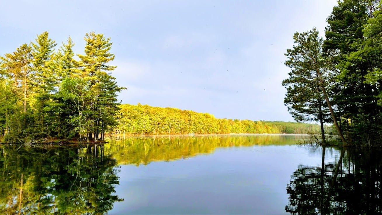 Picture 8 - Lake Mildred Property 208341