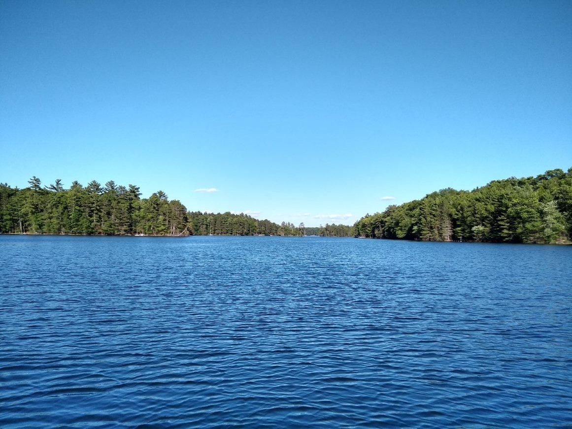 Picture 7 - Lake Mildred Property 208341