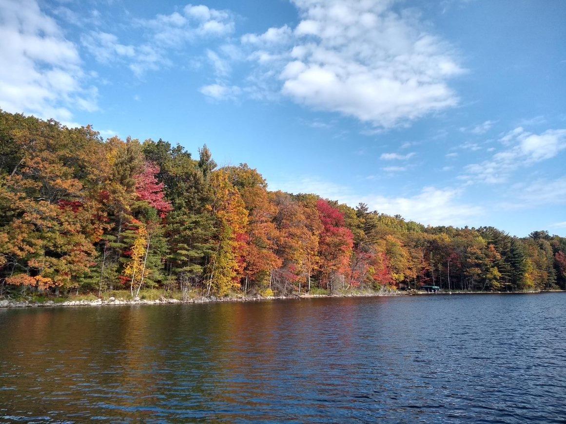 Picture 5 - Lake Mildred Property 208341