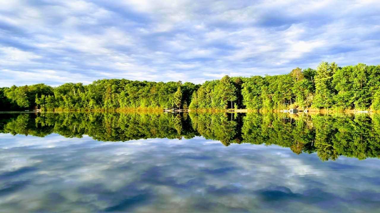 Picture 4 - Lake Mildred Property 208341