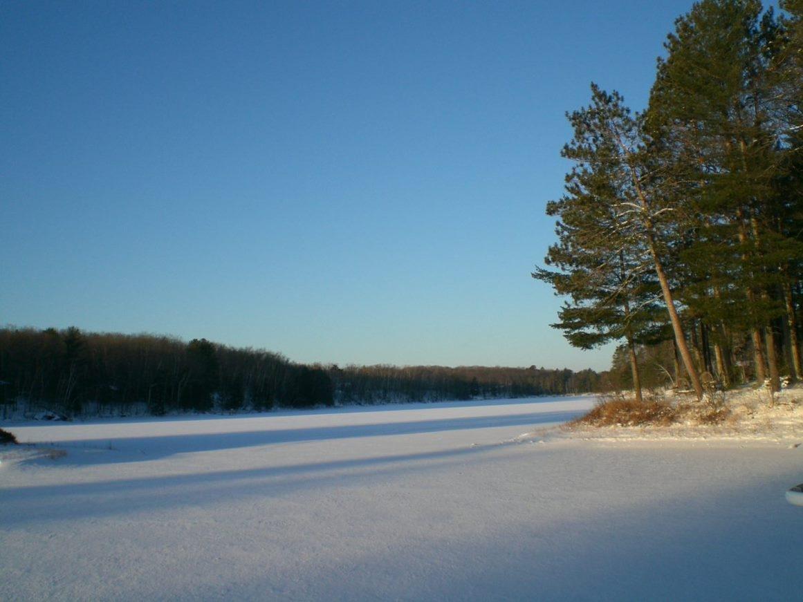 Picture 1 - Lake Mildred Property 208341