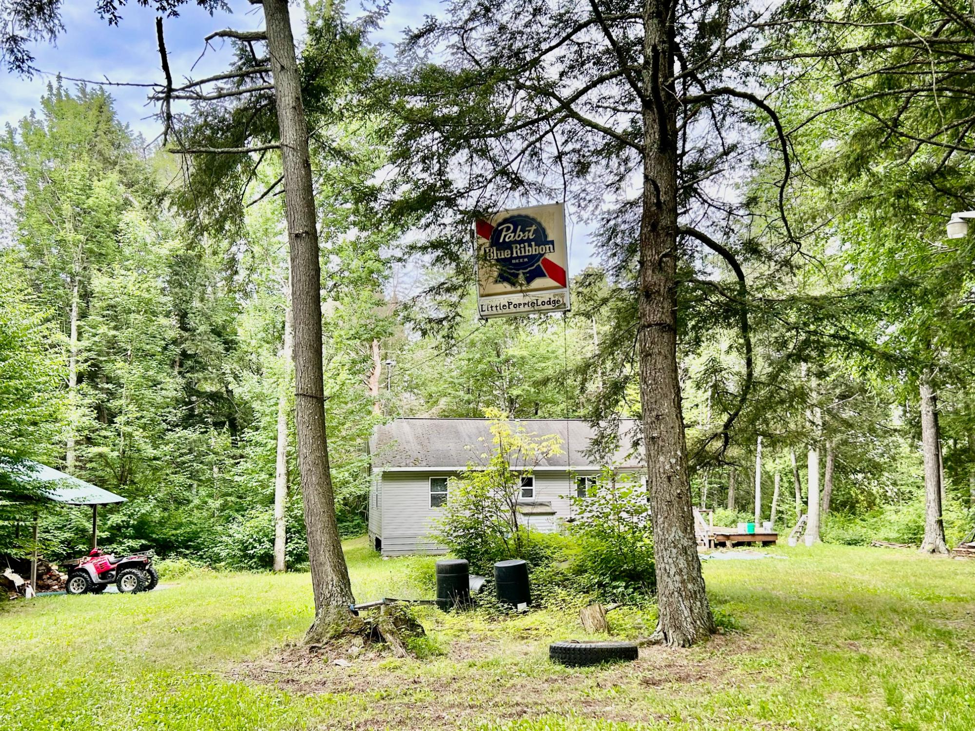 Undocumented Lake Property ON Double Bend Rd Photo 1
