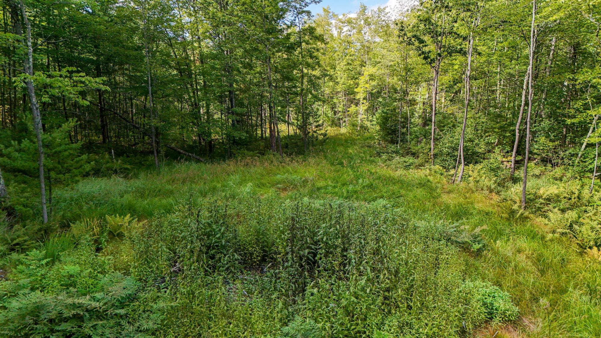 Picture 7 - Shishebogama Lake Property 208695