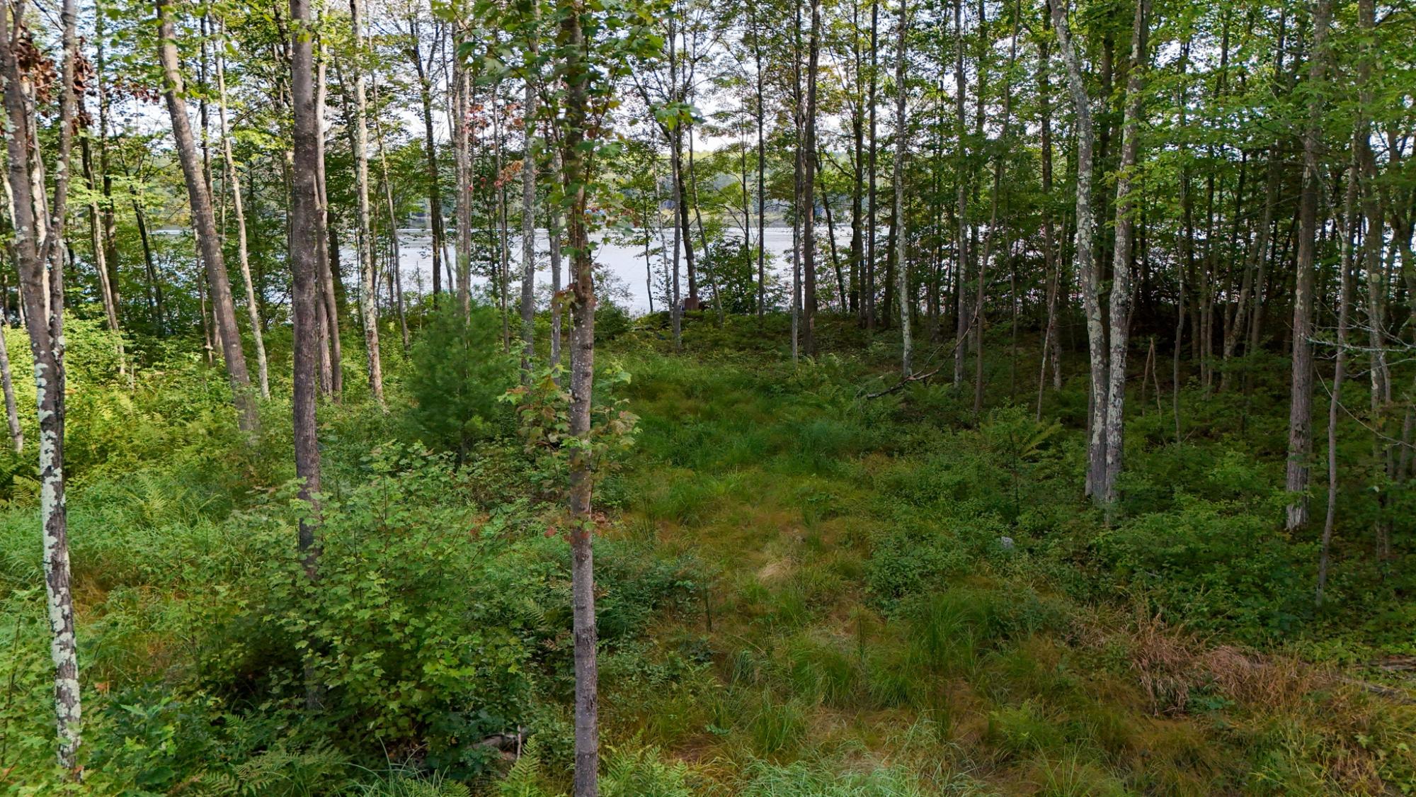 Picture 5 - Shishebogama Lake Property 208695