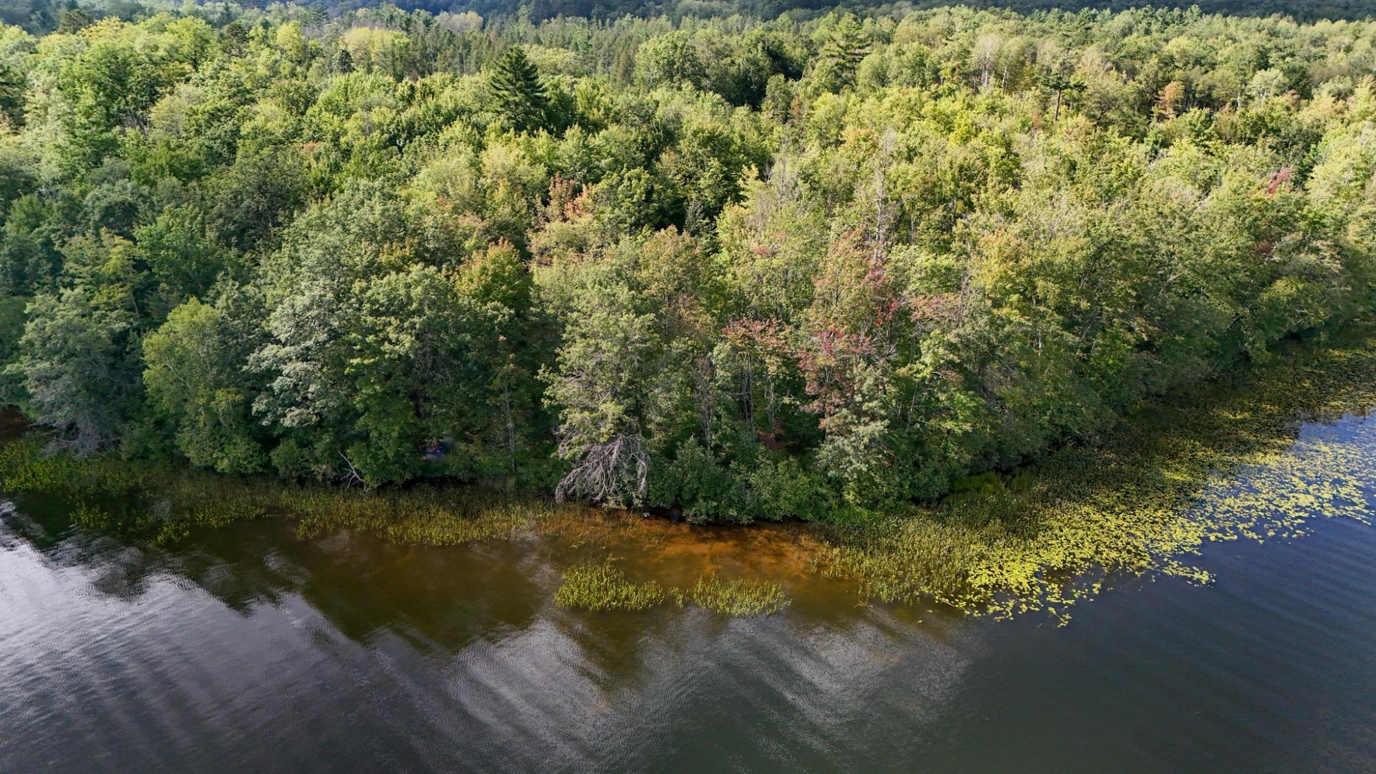 Picture 2 - Shishebogama Lake Property 208695