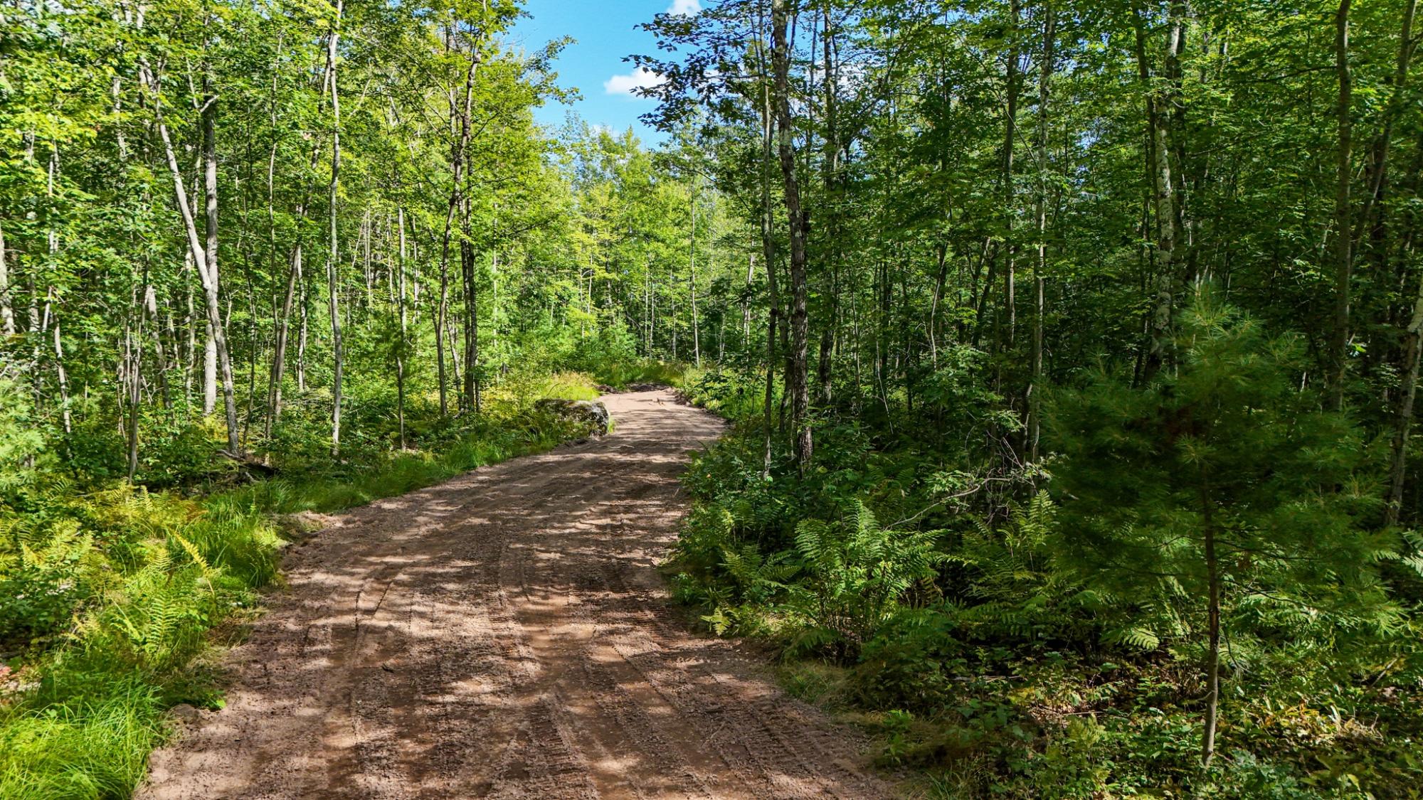 Picture 14 - Shishebogama Lake Property 208695