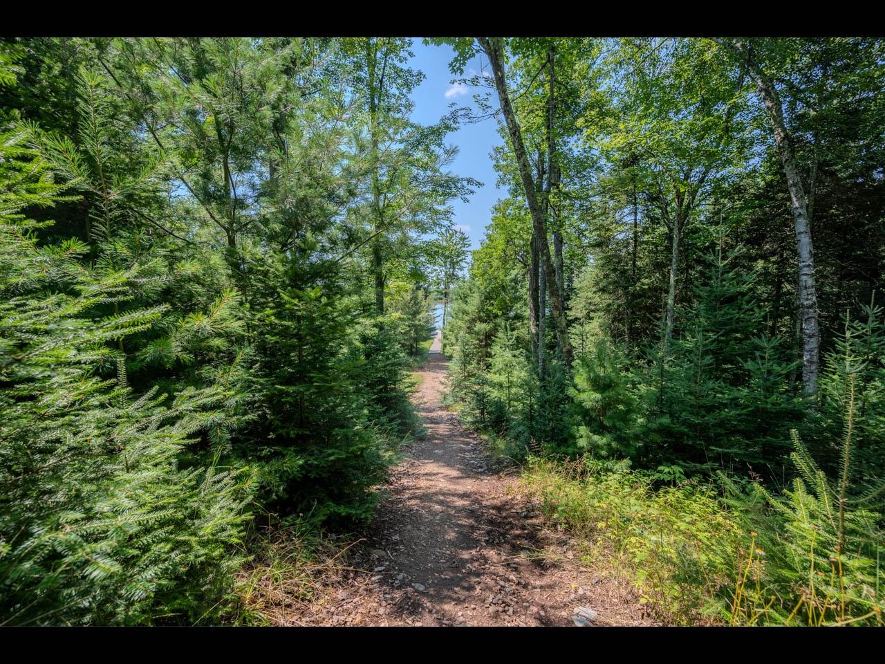 Picture 16 - Wildcat Lake Property 208879